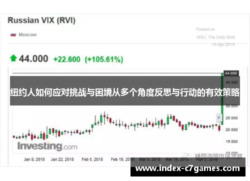 纽约人如何应对挑战与困境从多个角度反思与行动的有效策略