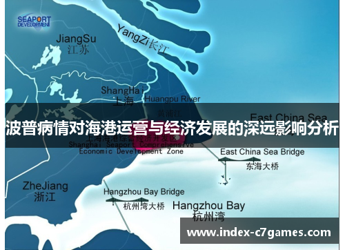 波普病情对海港运营与经济发展的深远影响分析