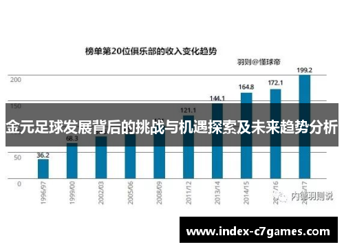 金元足球发展背后的挑战与机遇探索及未来趋势分析